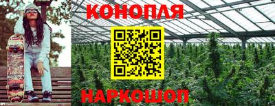 гашиш Ставрополь