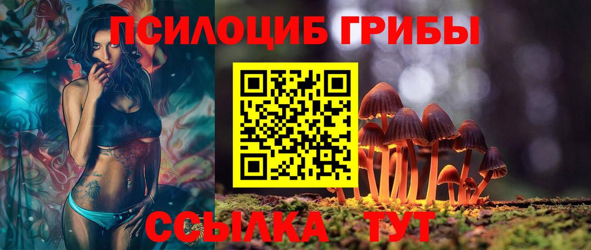 Псилоцибиновые грибы Cubensis Конаково